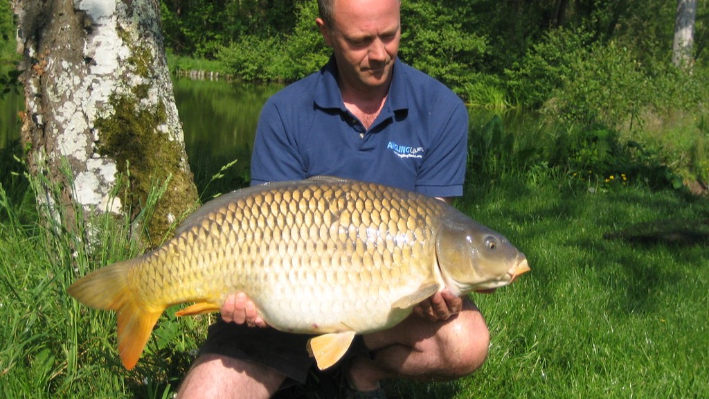 A Few Characteristics Of The Carp Are Listed Below
